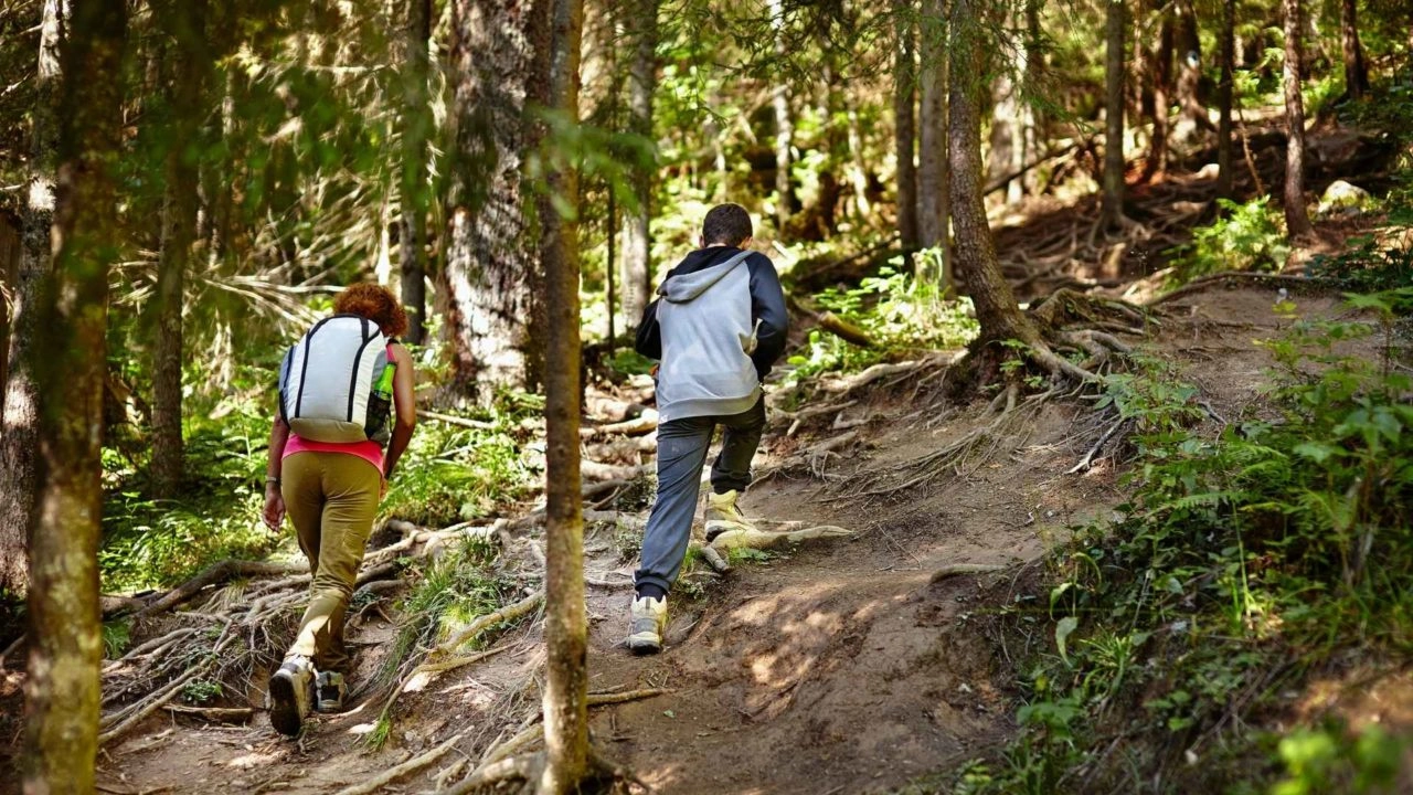 walking-trails-rsp