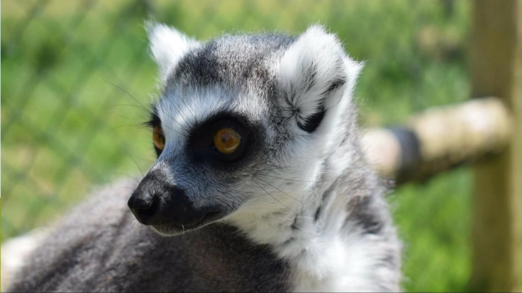 Secret Valley Wildlife Park