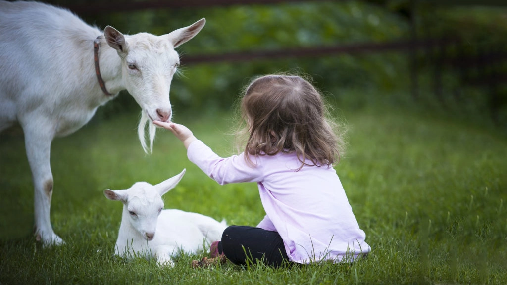 Blackwater Open Farm