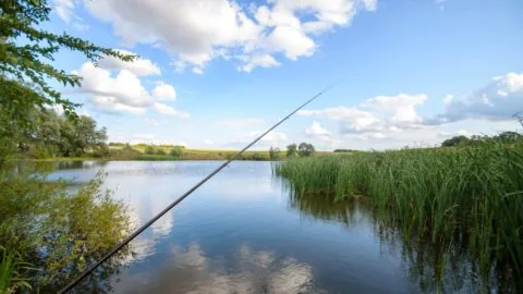 fishing