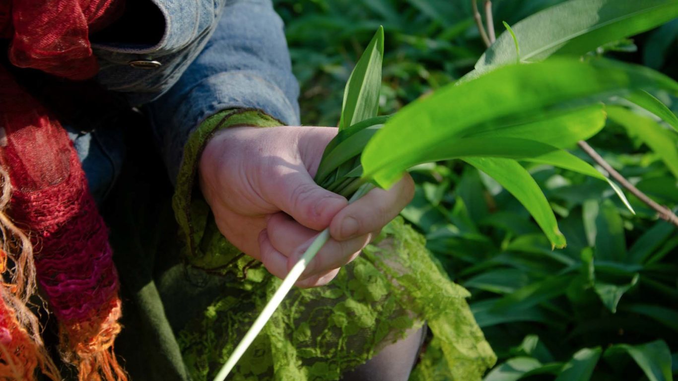 Riverside-Park-Hotel-Garlic