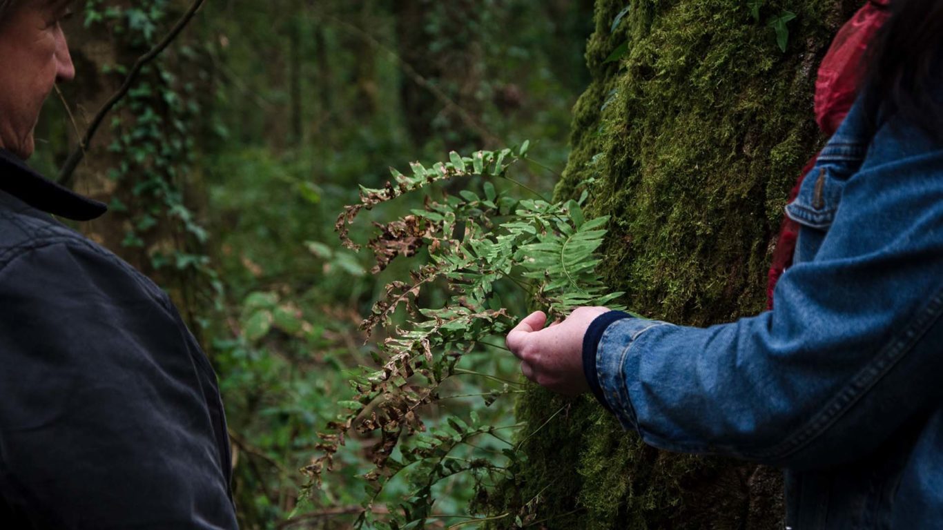 Riverside-Park-Hotel-Oak Noble of the Woods