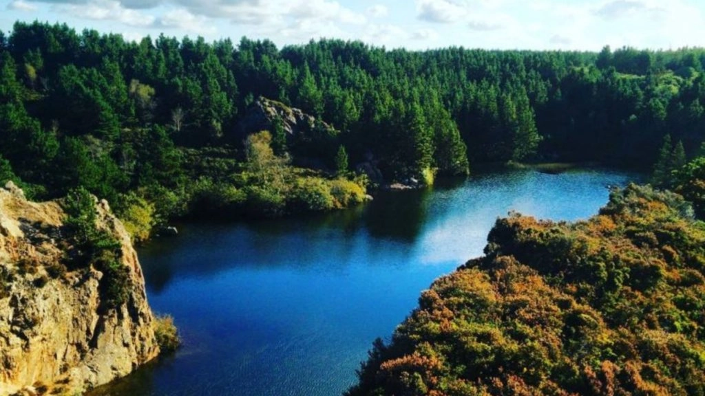 Tracks & Trails Wexford