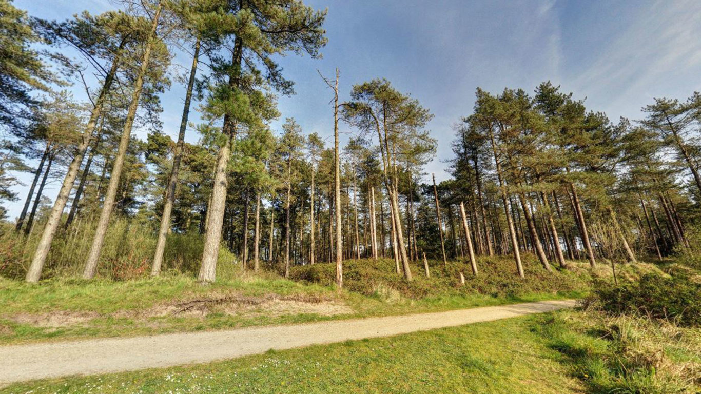 The Raven Walking Trail