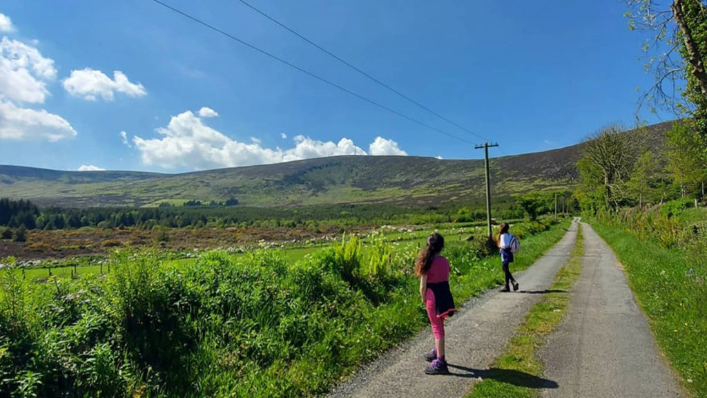 Brandon Hill – Graiguenamanagh