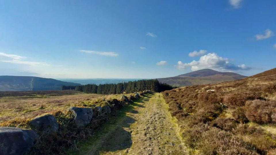 Visit Wexford Page RPH