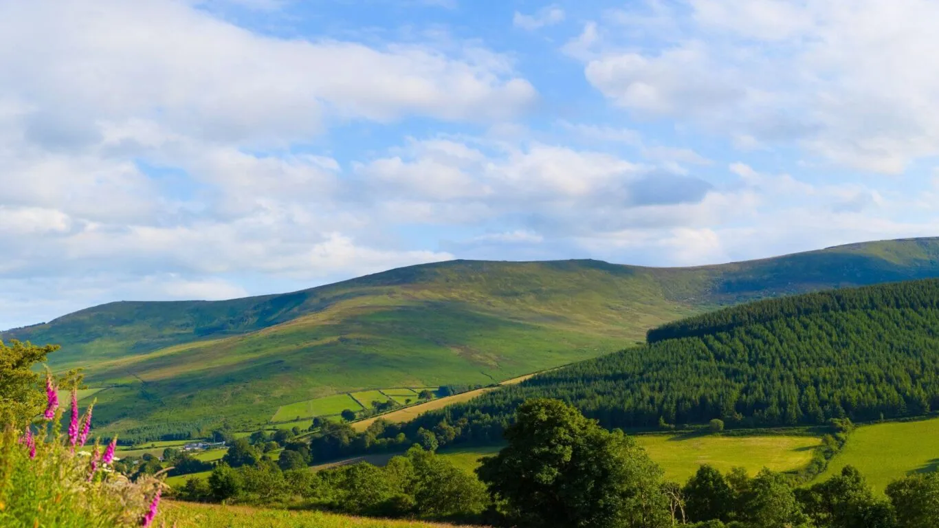RSP Blackstairs Mountain Shutterstock Image
