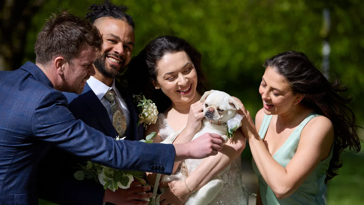 Wedding-Dog-RPH