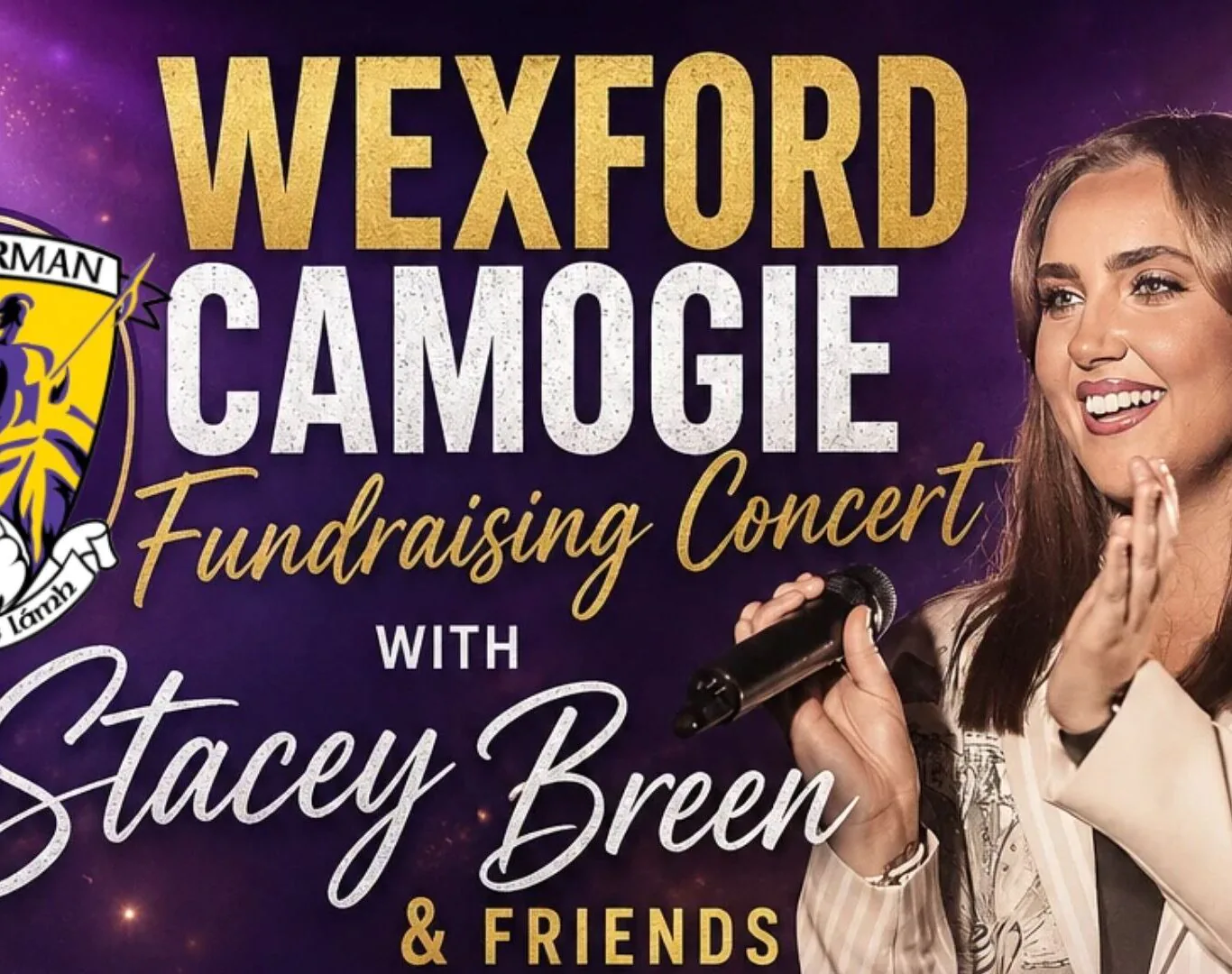 Wexford Camogie Fundraiser